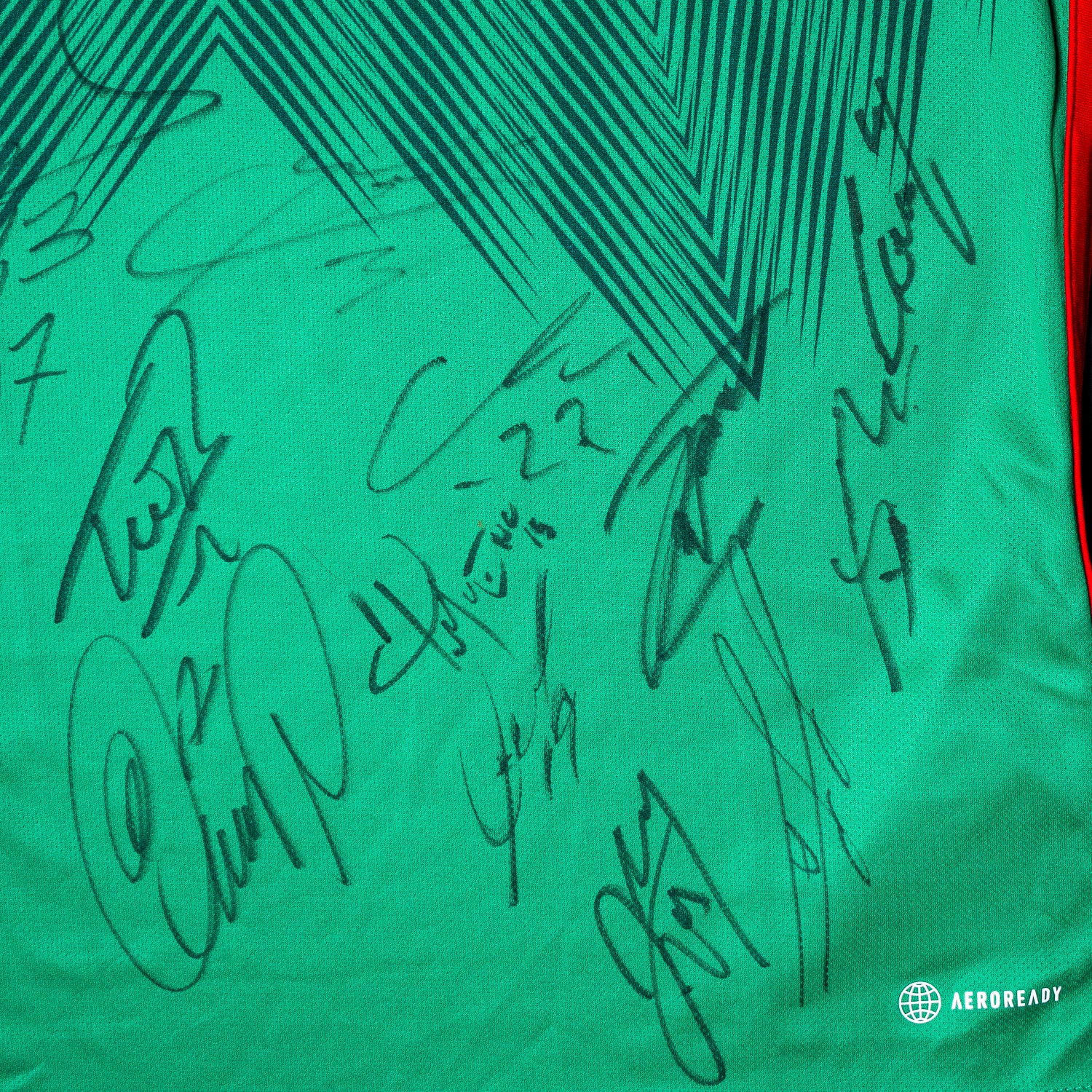 Todo el Equipo Jersey Firmado - Mexico