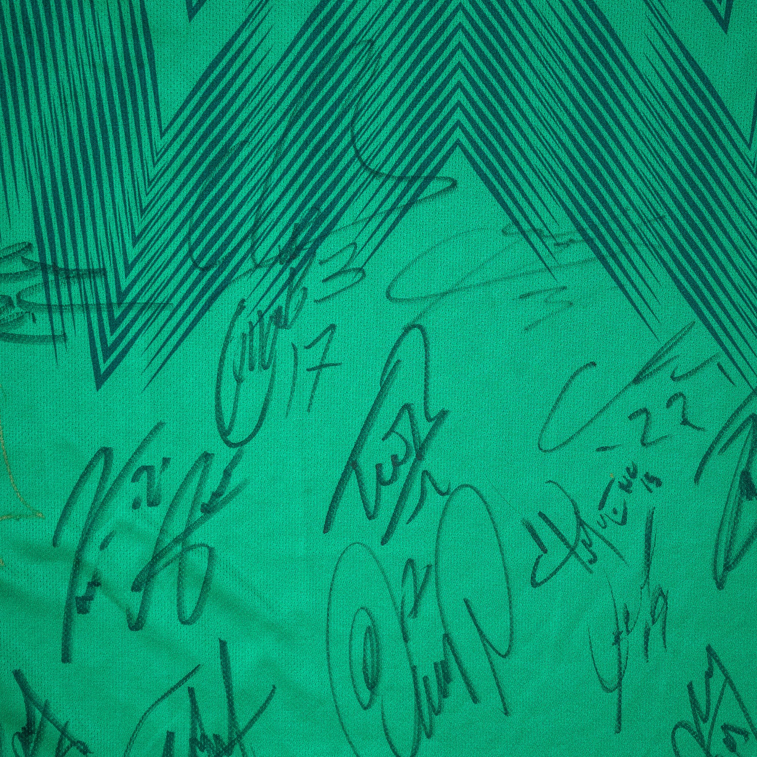 Todo el Equipo Jersey Firmado - Mexico