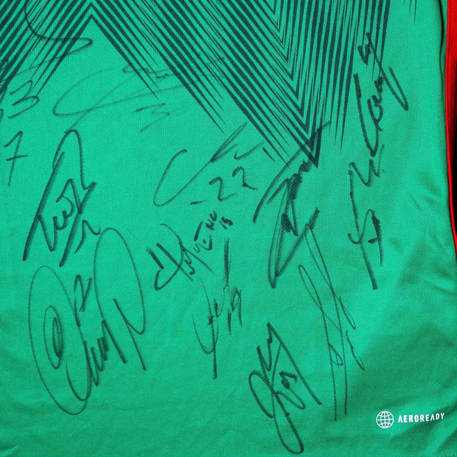 Subasta - Todo el Equipo Jersey Firmado - Mexico