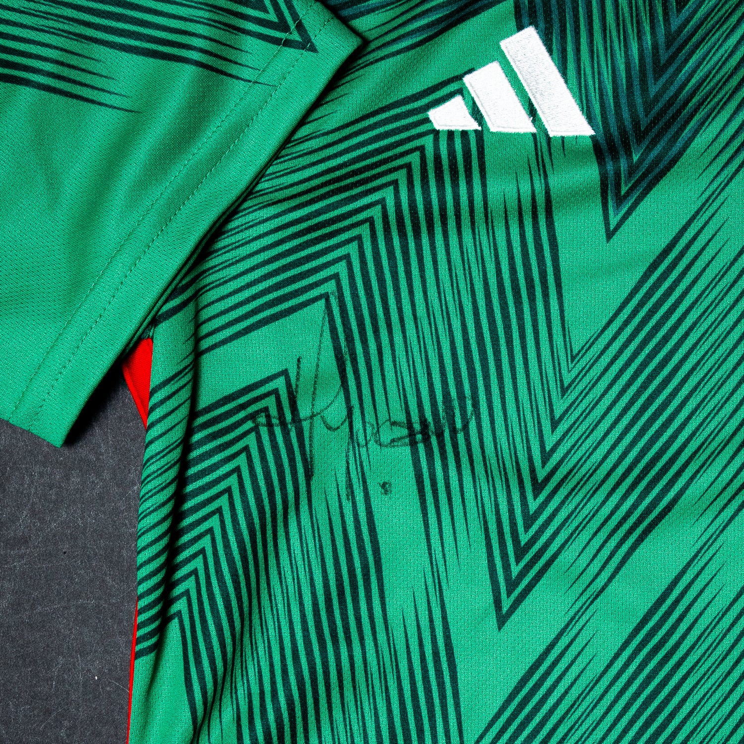 Todo el Equipo Jersey Firmado - Mexico