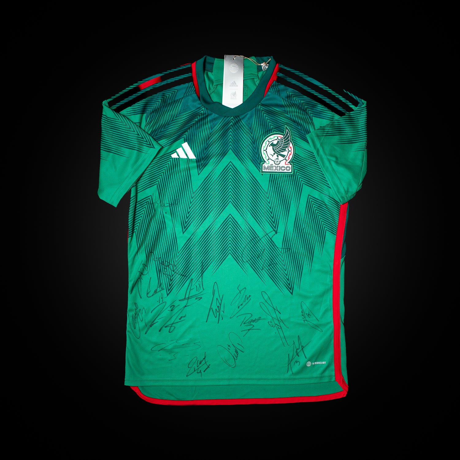Todo el Equipo Jersey Firmado - Mexico