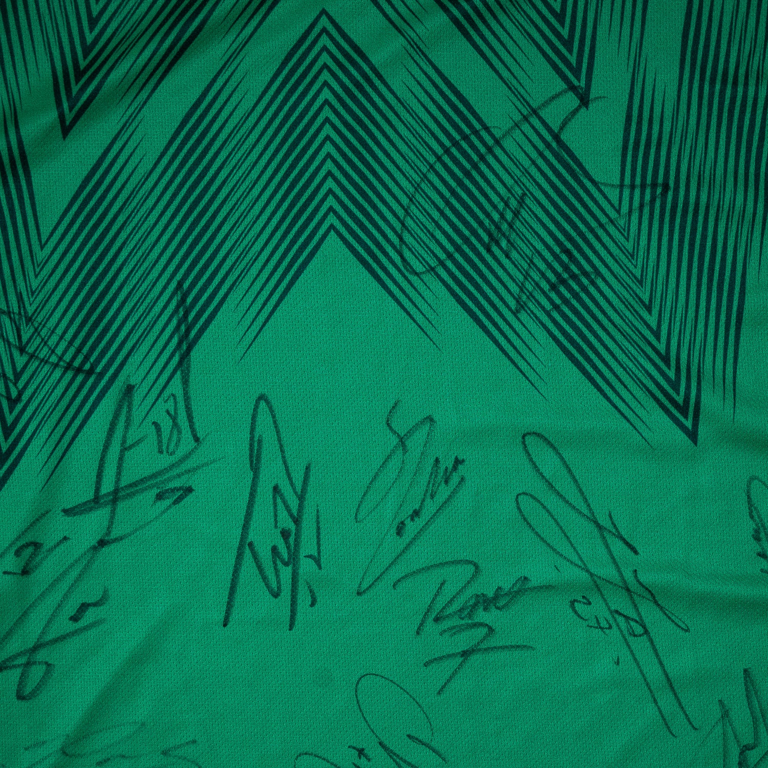 Todo el Equipo Jersey Firmado - Mexico