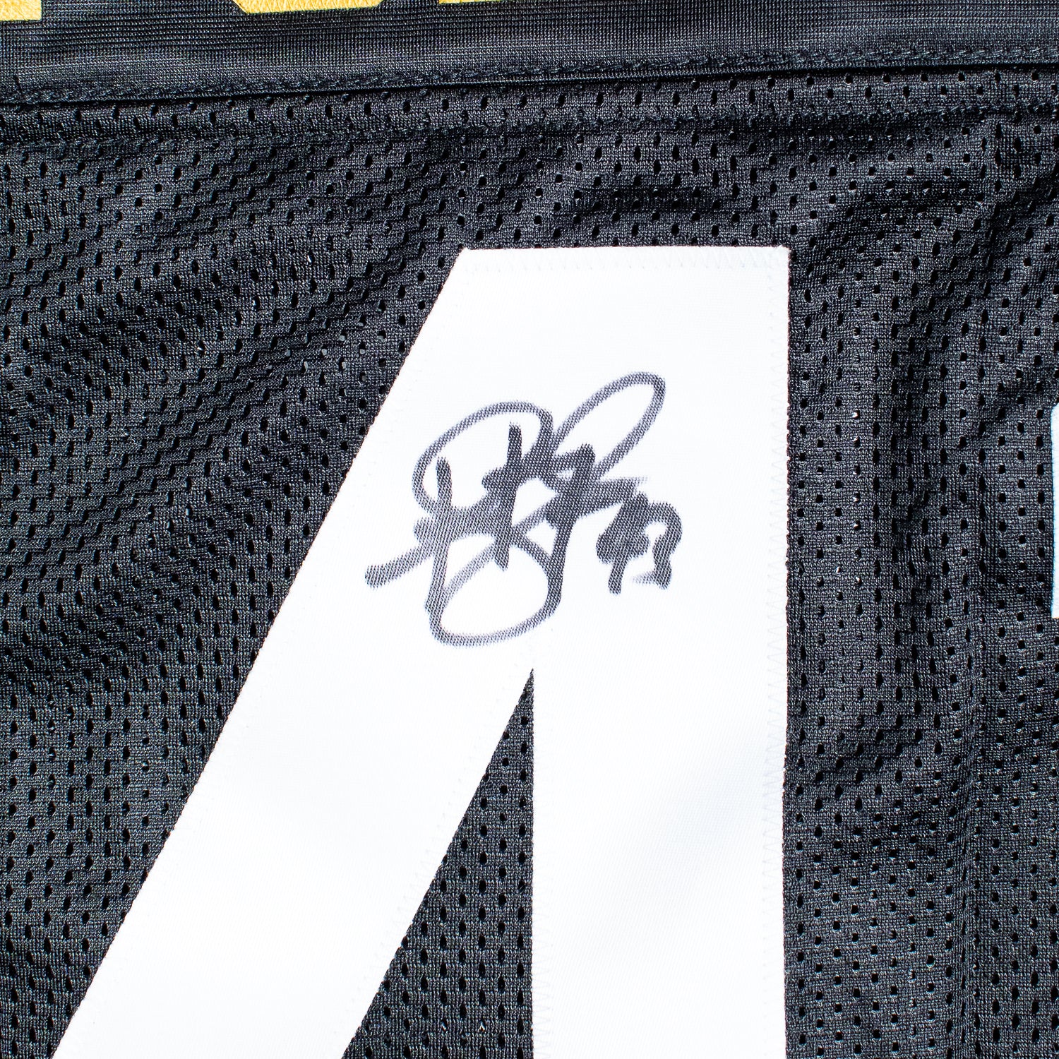 Troy Polamalu Jersey Firmado - Pittsburgh Steelers