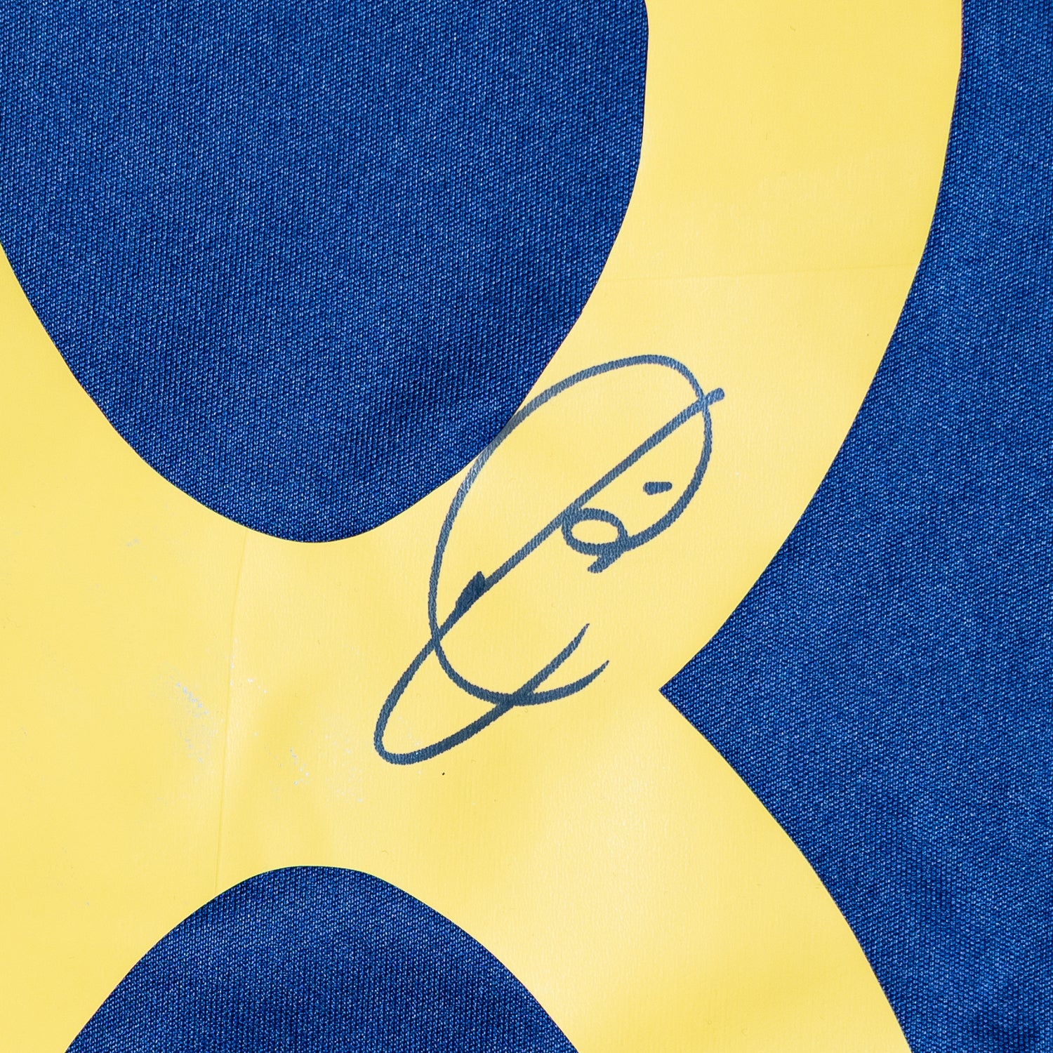 Jersey Firmado Xavi Hernandez - España