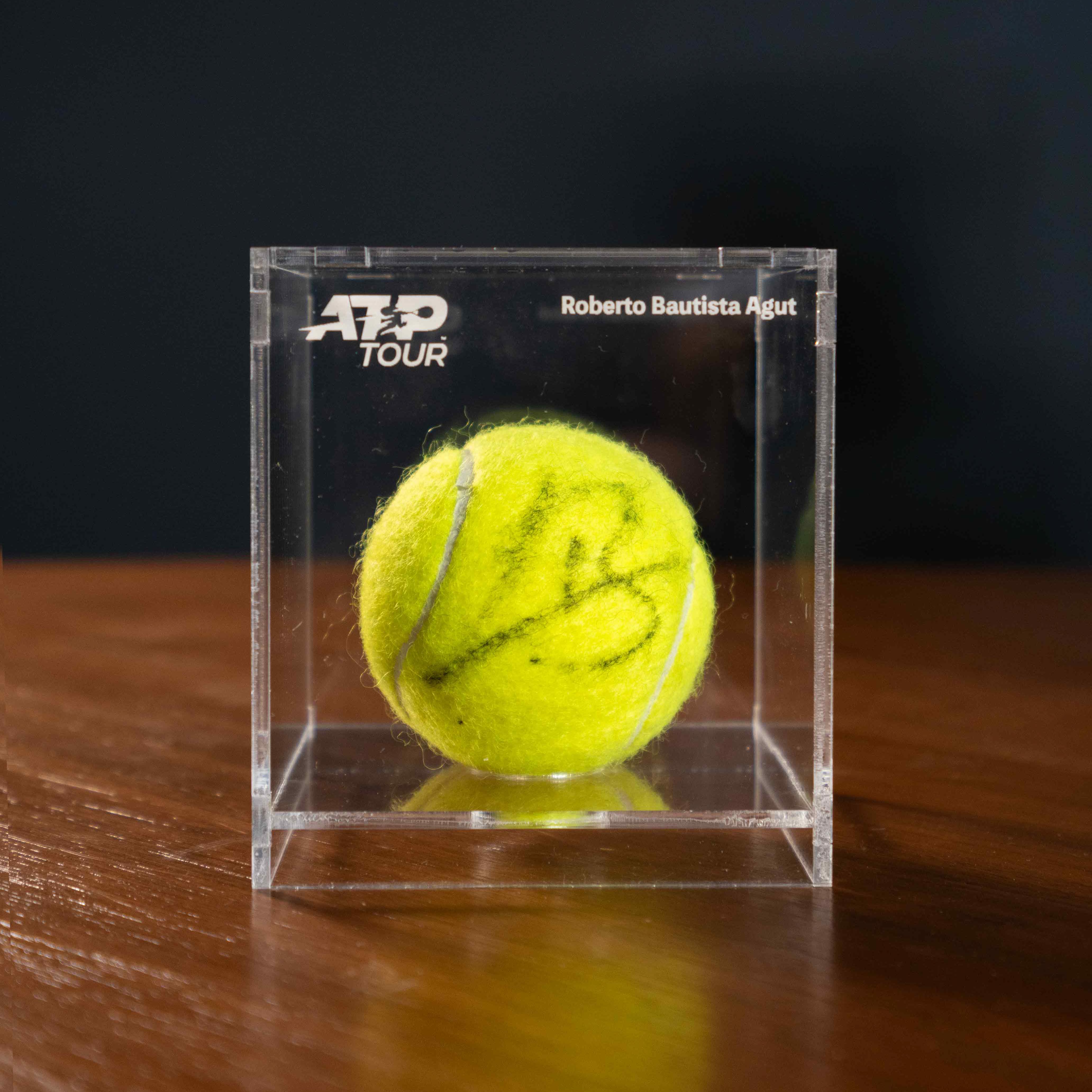 Pelota Firmada - Roberto Bautista Agut