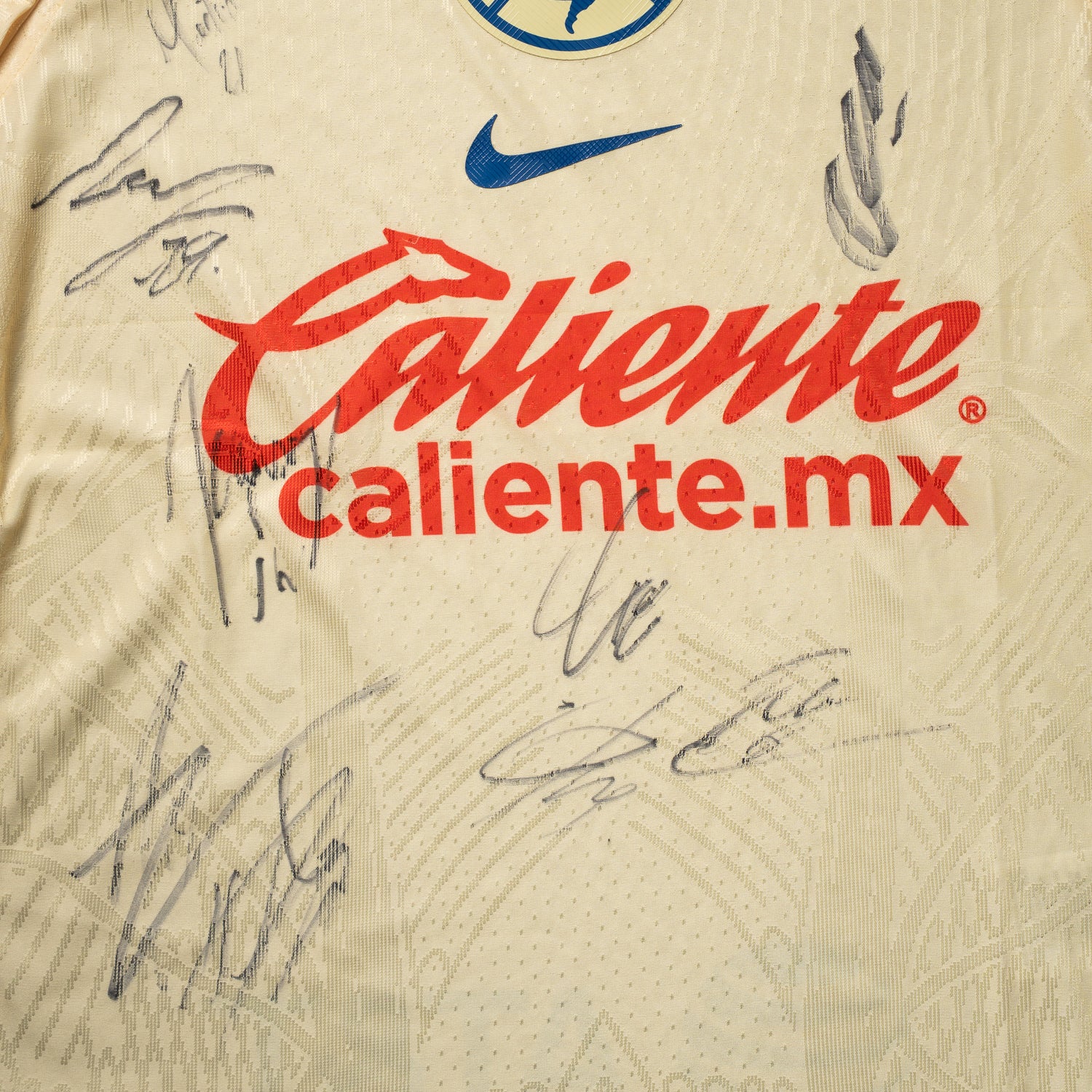 Jersey Firmado Todo El equipo - Club América 2023-2024