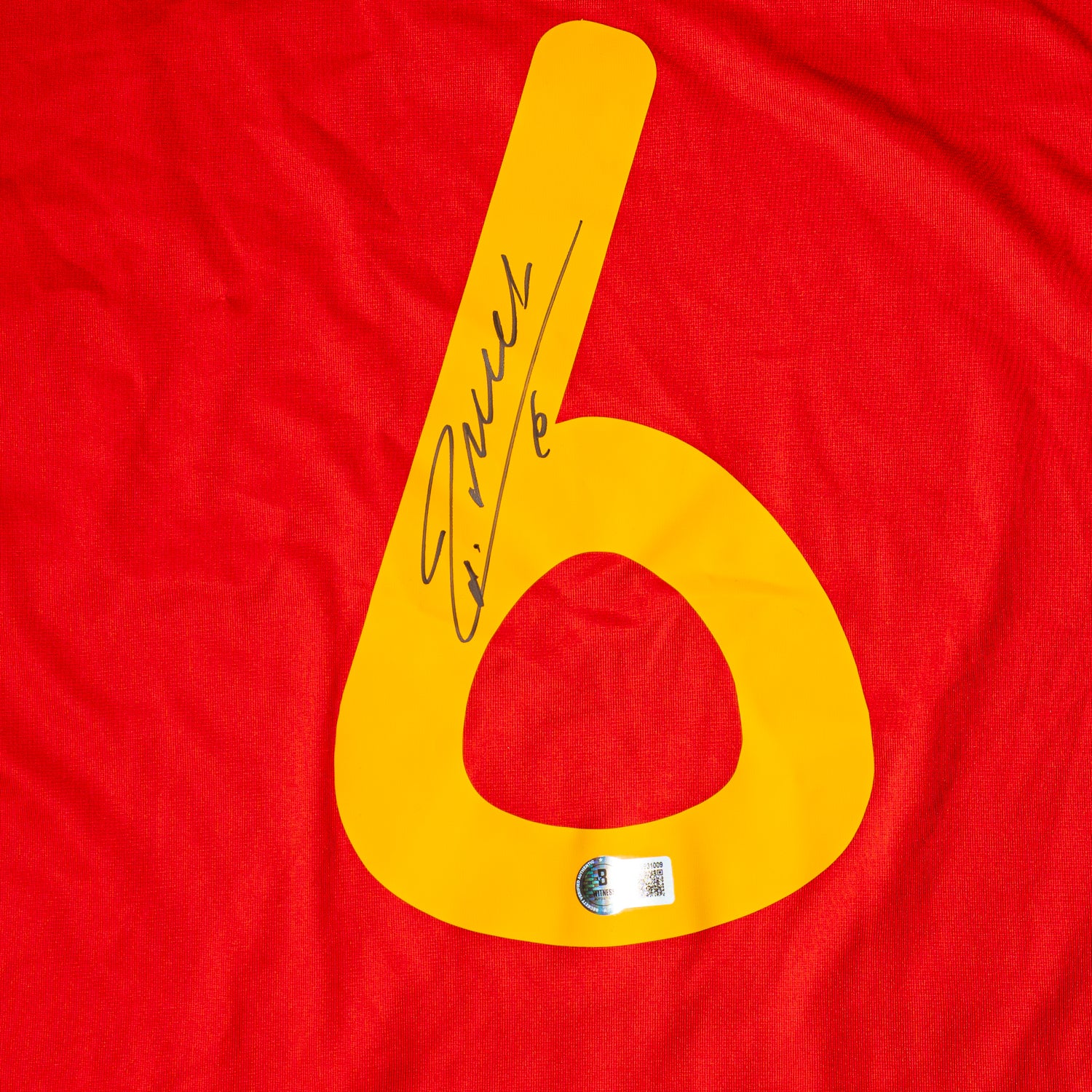 Jersey Firmado Andres Iniesta - España 2010