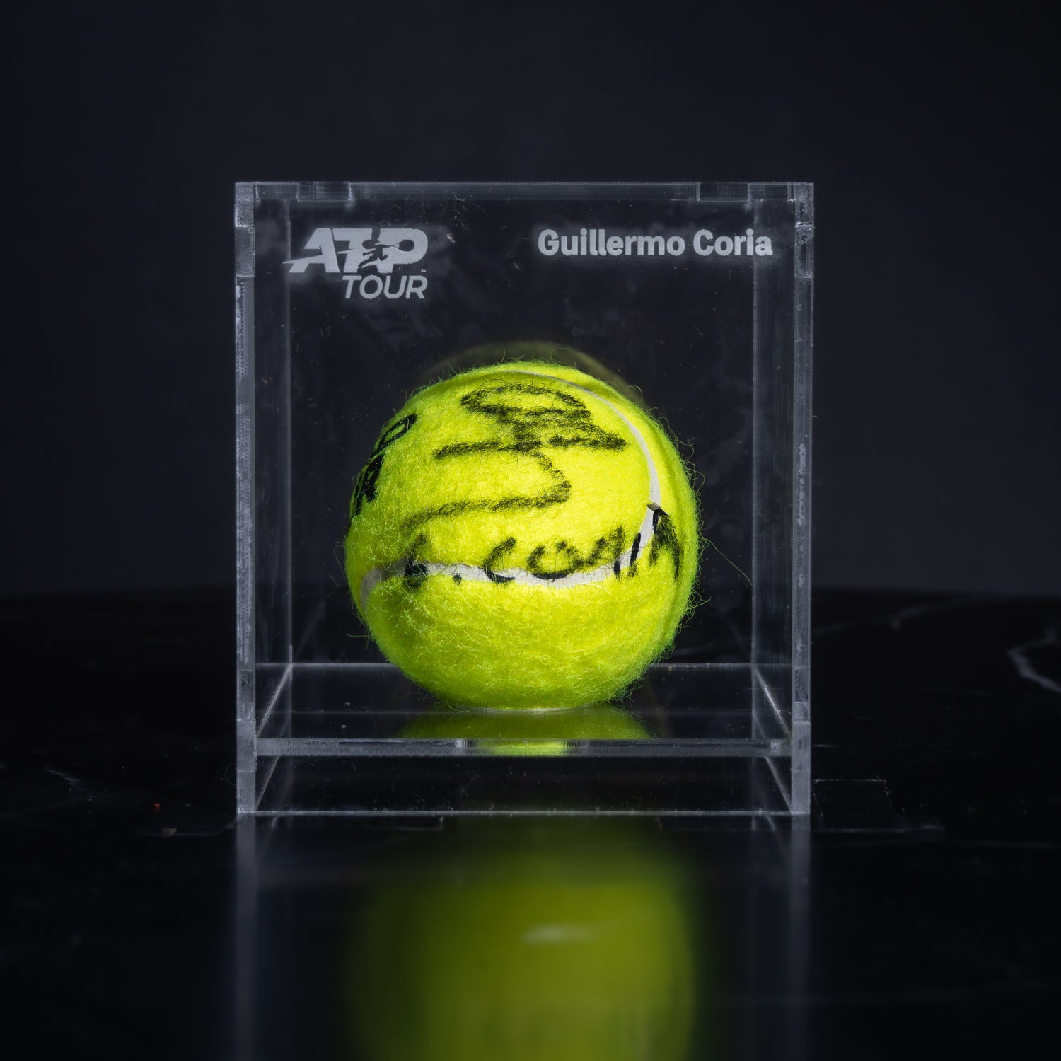 Pelota Firmada - Guillermo Coria