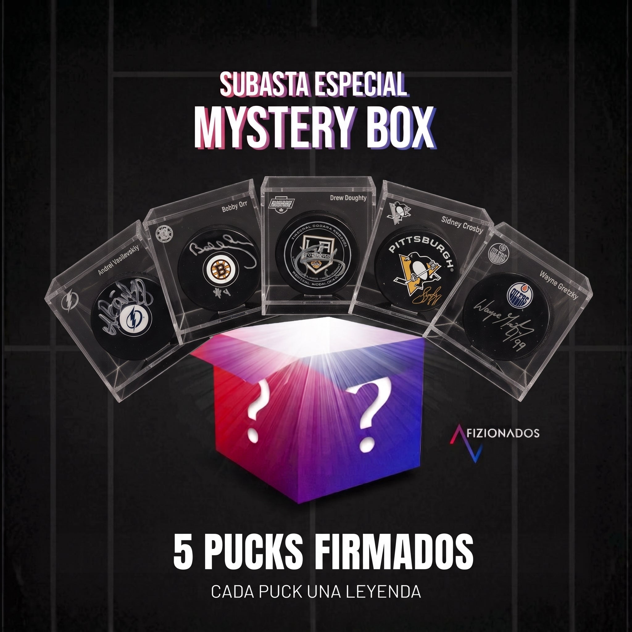 Subasta - Mystery Box: 10 de Pucks de Hockey
