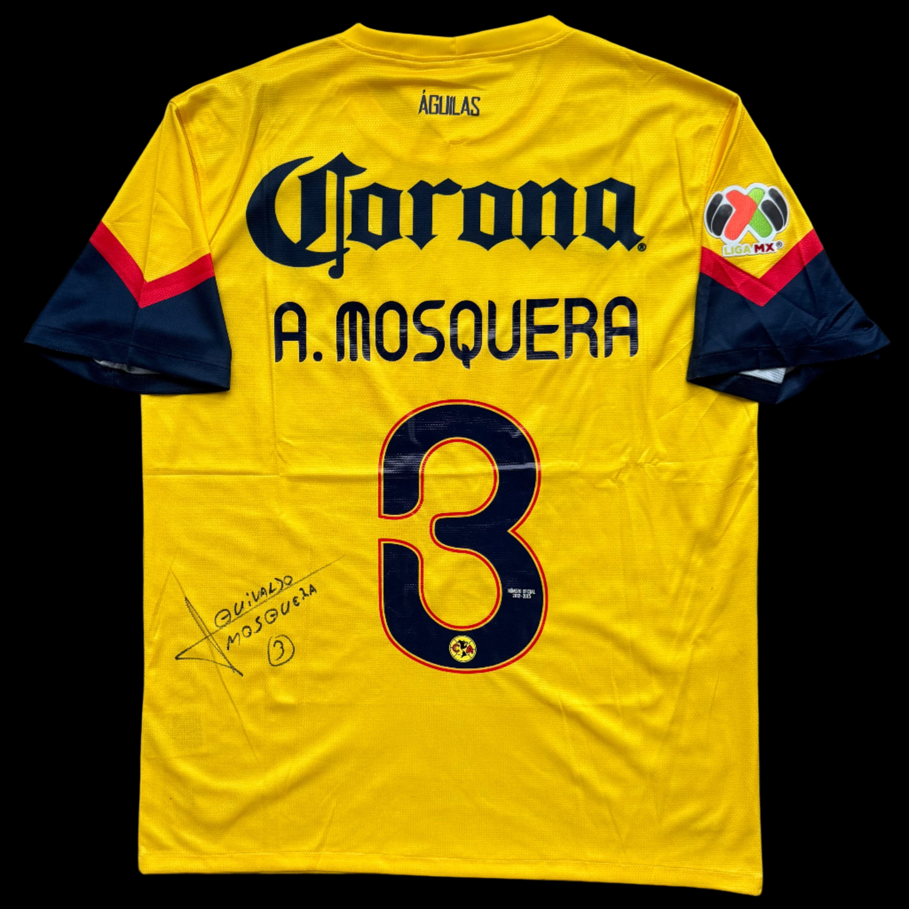 Afizionados