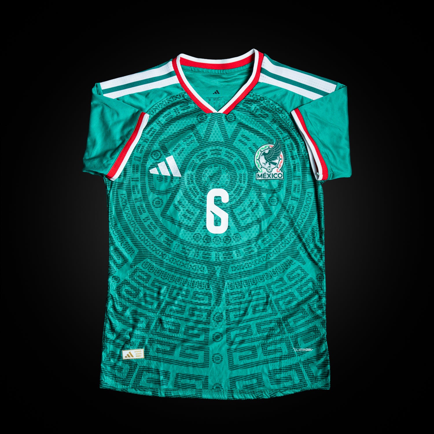 Erik Lira Jersey Firmado - Mexico