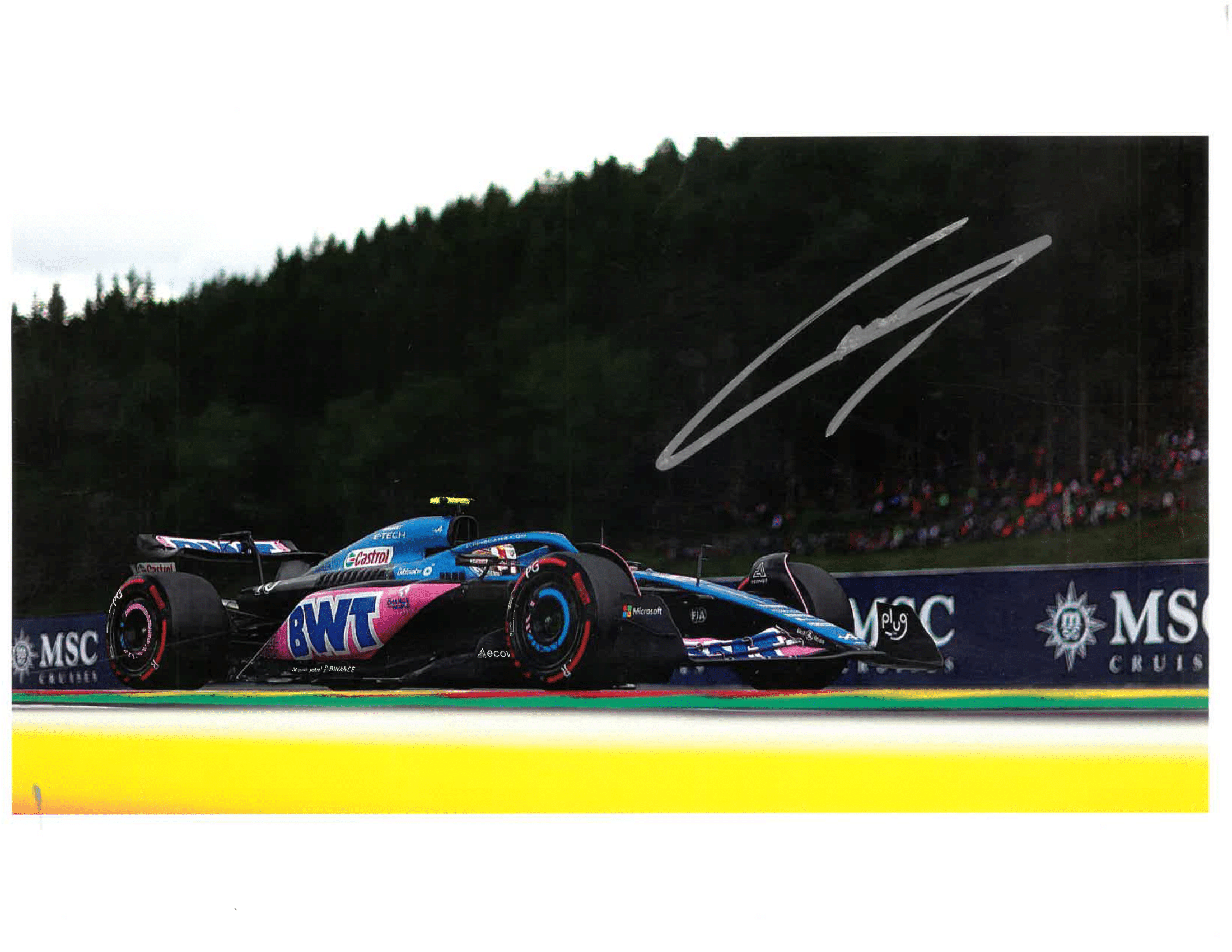 Foto Firmada Pierre Gasly