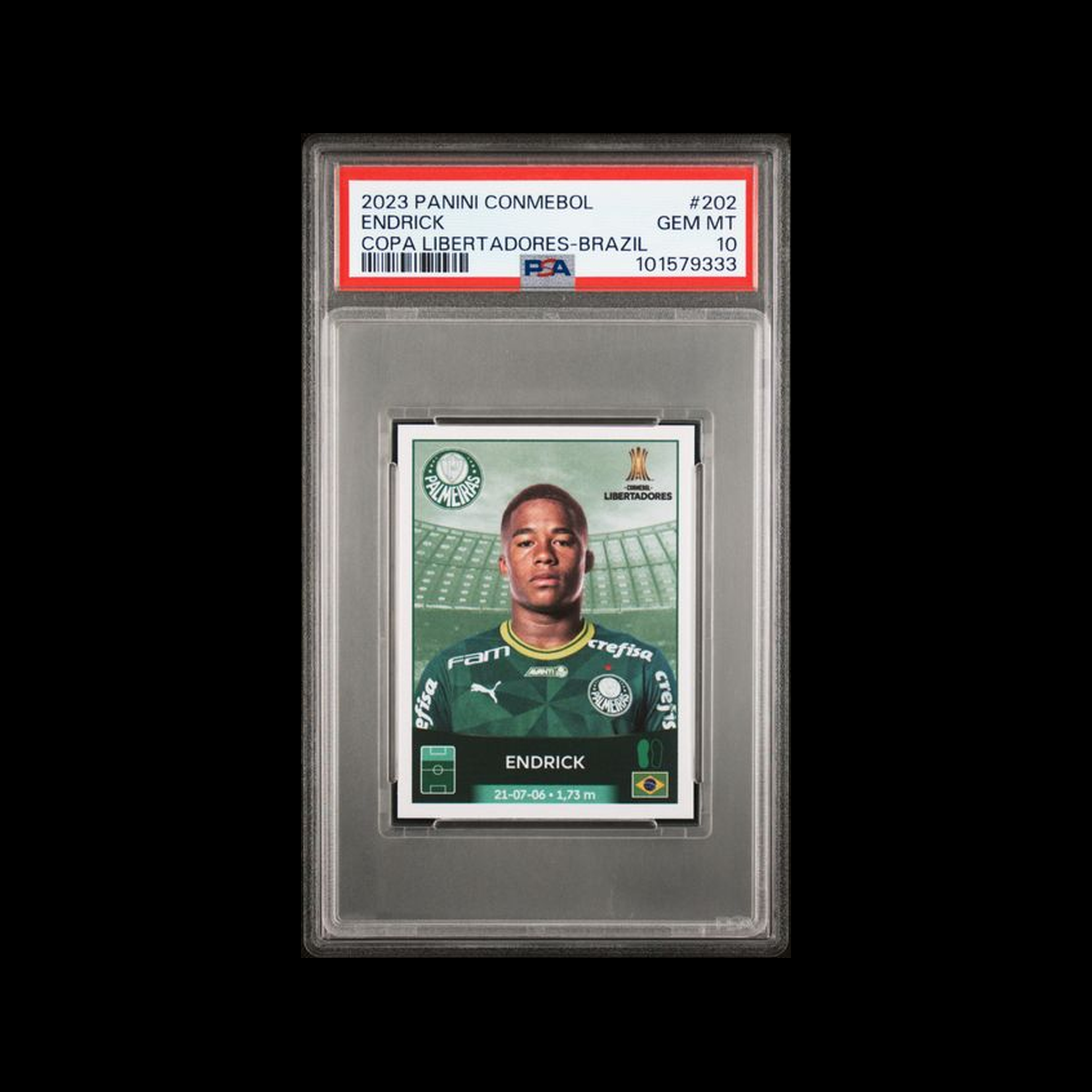 2023 Panini Conmebol Copa Libertadores Brazil Endrick 202 PSA 10 GEM-MT